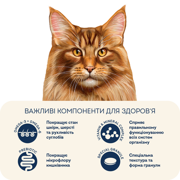 Home Food з телятиною, лососем і в'яленими томатами для котів великих порід, 200г 3178002 фото