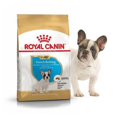 FRENCH BULLDOG PUPPY 1кг 39900101 фото