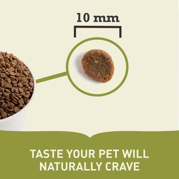 ACANA WILD PRAIRIE CAT 340G a64034 фото