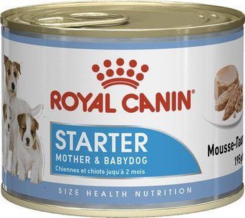 STARTER MOUSSE Cans 195г 4077002 фото