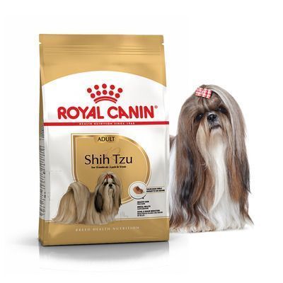 SHIH TZU ADULT 1,5кг 2200015 фото