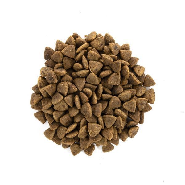 Brit Care Cat Grain Free Adult Activity Support для уличных и взрослых кошек филе индейки и курицы, 7 кг 8595602540815 фото