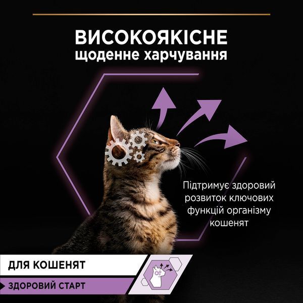 Влажный корм PRO PLAN Kitten Healthy Start для котят, кусочки в соусе, с индейкой, 85 г 7613036093453 фото