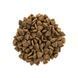 Brit Care Cat Grain Free Adult Activity Support для уличных и взрослых кошек филе индейки и курицы, 7 кг 8595602540815 фото 2