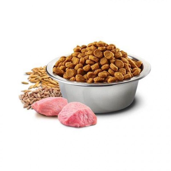 Farmina Low Grain Cat Chicken & Pomegranate Adult з куркою та гранатом для дорослих котів, 300г 156429 фото