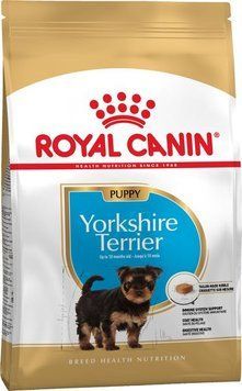 YORKSHIRE PUPPY 0,5кг 39720051 фото