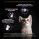 Сухой корм PRO PLAN Kitten 