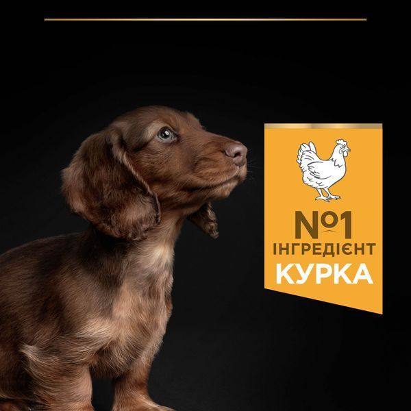 Сухой корм PRO PLAN Small & Mini Puppy 