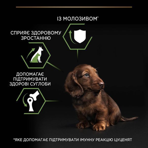 Сухой корм PRO PLAN Small & Mini Puppy 