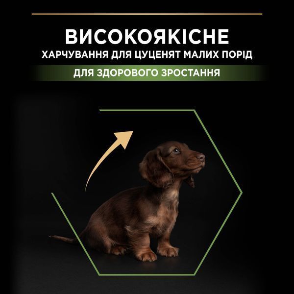 Сухой корм PRO PLAN Small & Mini Puppy 