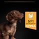 Сухой корм PRO PLAN Small & Mini Puppy 