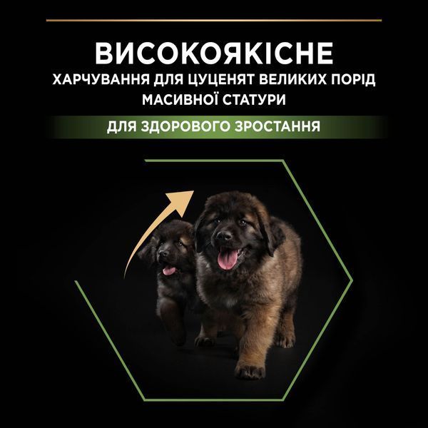 Сухой корм PRO PLAN Large Robust Puppy 