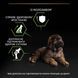 Сухой корм PRO PLAN Large Robust Puppy 
