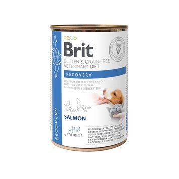 Brit Grain Free Veterinary Diets Recovery для взрослых собак и кошек для восстановления после болезни или операции с лососем, 400 г 8595602536191 фото