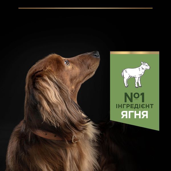Сухой корм PRO PLAN Small&Mini Adult 1+ Sensitive Digestion для взрослых собак мелких пород, с чувствительным пищеварением, с ягненком, 700 г 7613036611299 фото
