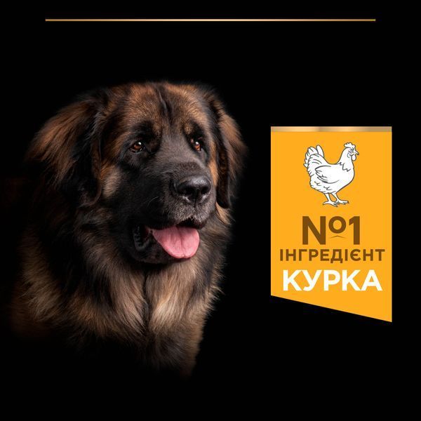 Сухой корм PRO PLAN Large Robust Adult 2+ Everyday Nutrion для взрослых собак больших пород массивного телосложения, с курицей, 14 кг 7613035120426 фото