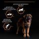 Сухой корм PRO PLAN Large Robust Adult 2+ Everyday Nutrion для взрослых собак больших пород массивного телосложения, с курицей, 14 кг 7613035120426 фото 8