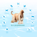 Optimeal Dog Beauty Podium Shiny Coat & Dental Care 4820215366830 фото 3