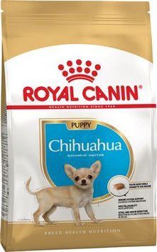 CHIHUAHUA PUPPY 0,5кг 24380051 фото