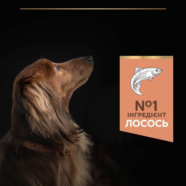 Сухой корм PRO PLAN Small&Mini Adult Sensitive Skin для взрослых собак мелких пород, с чувствительной кожей, с лососем, 700 г 7613035120808 фото