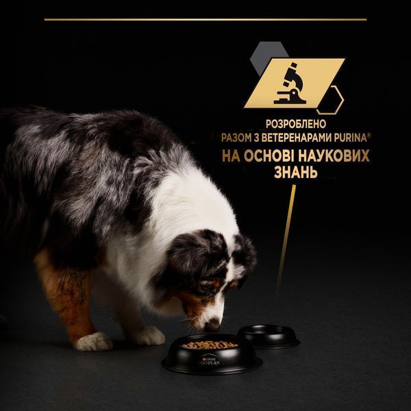 Вологий корм PRO PLAN Adult для дорослих собак, шматочки в желе, з індичкою, 400 г 8445291031111 фото