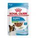 XSMALL PUPPY 85г 1593001 фото 1
