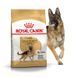 GERMAN SHEPHERD ADULT 11кг 2518110 фото 2