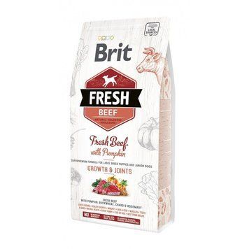 Brit Fresh Beef/Pumpkin Puppy Large для щенков и молодых собак больших пород с говядиной и тыквой 2,5 кг 8595602530762 фото