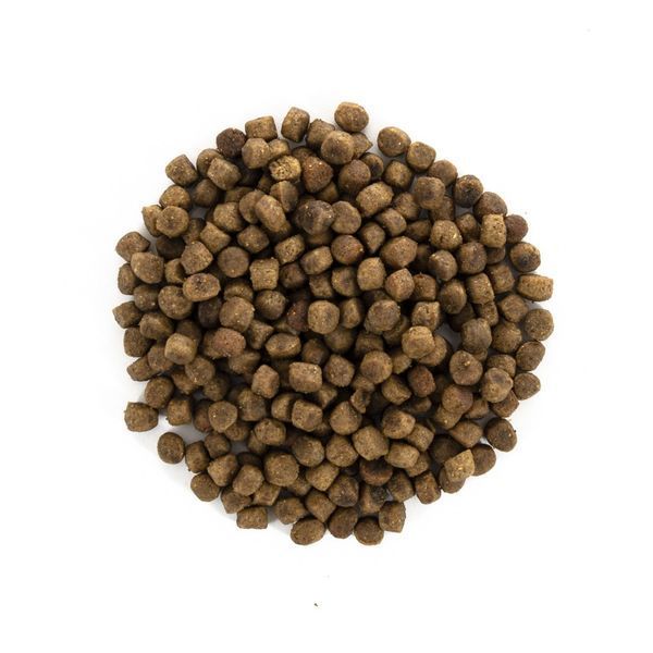 Brit Care Cat Grain Free Kitten Healthy Growth and Development для кошенят для здорового зростання та розвитку, 400г 8595602540686 фото