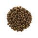Brit Care Cat Grain Free Kitten Healthy Growth and Development для кошенят для здорового зростання та розвитку, 400г 8595602540686 фото 2